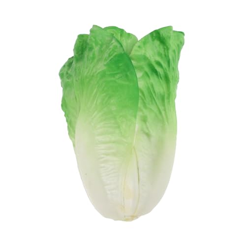 FRCOLOR Künstliche Realistische Salatblätter für Restaurantdekoration Lebensechte Grüne für Küche und Küchenaccessoire Vielseitige Deko für Gesunde Umgebung FRCOLOR Künstliche Realistische Salatblätter für Restaurantdekoration Lebensechte Grüne für Küche und Küchenaccessoire Vielseitige Deko für Gesunde Umgebung von FRCOLOR