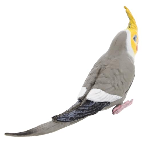 FRCOLOR Lebensechte Cockatiel Papagei Figurine Dekorative Vogel Skulptur für Garten und Zuhause Realistische Nachbildung aus Hochwertigen Materialien für Vogel FRCOLOR Lebensechte Cockatiel Papagei Figurine Dekorative Vogel Skulptur für Garten und Zuhause Realistische Nachbildung aus Hochwertigen Materialien für Vogel von FRCOLOR