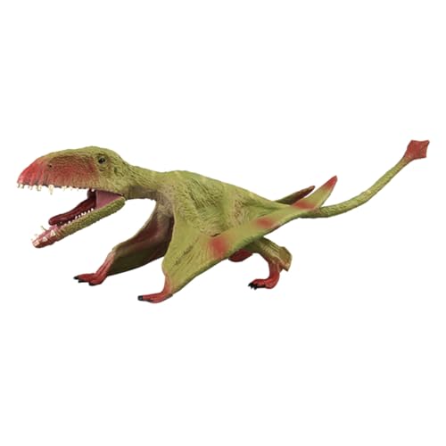 FRCOLOR Lebensechtes Pterodactyl Modell Dinosaurier Umweltfreundlich Robustes Plastik Pterosaurier Figur Detailgetreu Für Geschenk und Dekoration von FRCOLOR