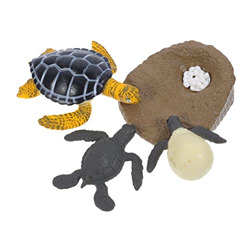 FRCOLOR Lernspielzeug Schildkröten Lebenszyklus Modell Figur Leichtes Tierwachstumszyklus für Vorschule Fördert Kognitive Fähigkeiten und Naturverständnis FRCOLOR Lernspielzeug Schildkröten Lebenszyklus Modell Figur Leichtes Tierwachstumszyklus für Vorschule Fördert Kognitive Fähigkeiten und Naturverständnis von FRCOLOR