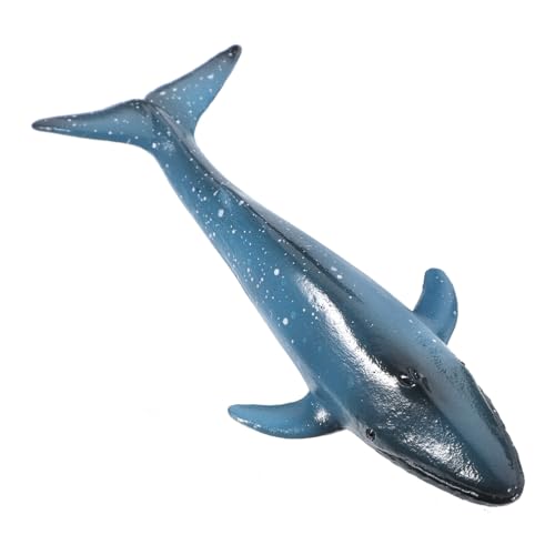 FRCOLOR Lifelike Kleines Walmodell aus Robustem Detailgetreue Meeresdekoration für Aquarium und Schreibtisch Pädagogisches Kreativität und Lernen FRCOLOR Lifelike Kleines Walmodell aus Robustem Detailgetreue Meeresdekoration für Aquarium und Schreibtisch Pädagogisches Kreativität und Lernen von FRCOLOR