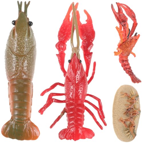 FRCOLOR Lobster Wachstum Phasen Modell Lernspielzeug Ab Jahre Realistische Kunststoff Hummer Tierfiguren Pädagogisches zur Biologischen Wissensvermittlung FRCOLOR Lobster Wachstum Phasen Modell Lernspielzeug Ab Jahre Realistische Kunststoff Hummer Tierfiguren Pädagogisches zur Biologischen Wissensvermittlung von FRCOLOR
