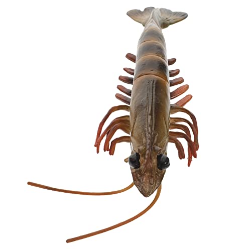 FRCOLOR Lustiges Lernspielzeug Realistisches Shrimp Modell aus Kunststoff für Bildung und Kreative Spiele als Deko über Meereslebewesen FRCOLOR Lustiges Lernspielzeug Realistisches Shrimp Modell aus Kunststoff für Bildung und Kreative Spiele als Deko über Meereslebewesen von FRCOLOR