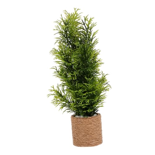 FRCOLOR Miniatur Bonsai Pflanze Kunststoff Mini Garten Dekoration Langlebig Realistisch Kleine Topfpflanze Für Puppenhaus Feengarten Zubehör von FRCOLOR