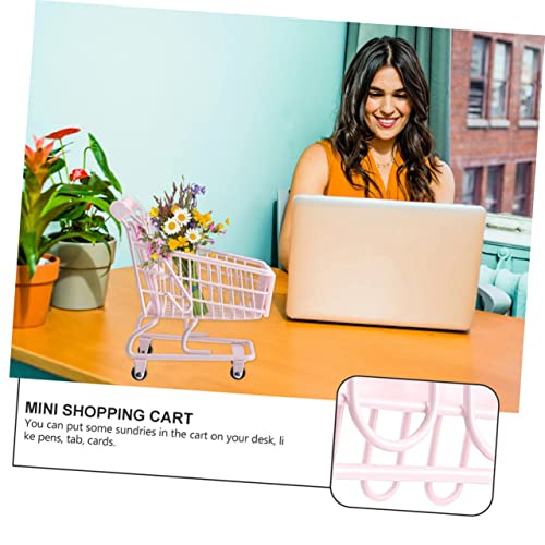 FRCOLOR Miniatur Einkaufswagen Deko Baumwollzucker Kleiner Einkaufswagen Organizer für Schreibtisch Multifunktionaler Aufbewahrungskorb und Dekoratives Accessoire für Mädchenzimmer und FRCOLOR Miniatur Einkaufswagen Deko Baumwollzucker Kleiner Einkaufswagen Organizer für Schreibtisch Multifunktionaler Aufbewahrungskorb und Dekoratives Accessoire für Mädchenzimmer und von FRCOLOR