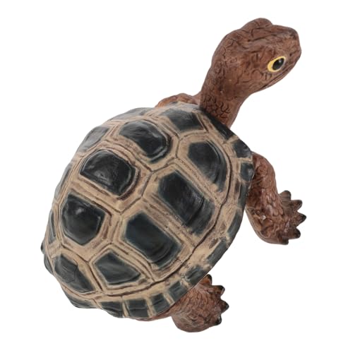FRCOLOR Modellfigur Realistische Landschildkröte Dekoration für Lernspielzeug Kognitiven Entwicklung für Geburtstagsfeiern für Jährige von FRCOLOR