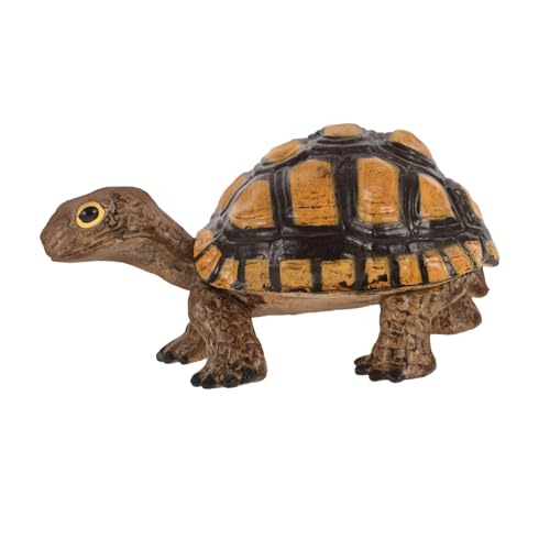 FRCOLOR Modellfiguren Realistische Schildkröten Dekoration für Lernspielzeug Kognitiven Entwicklung für Jungen und Mädchen Ab Jahren von FRCOLOR