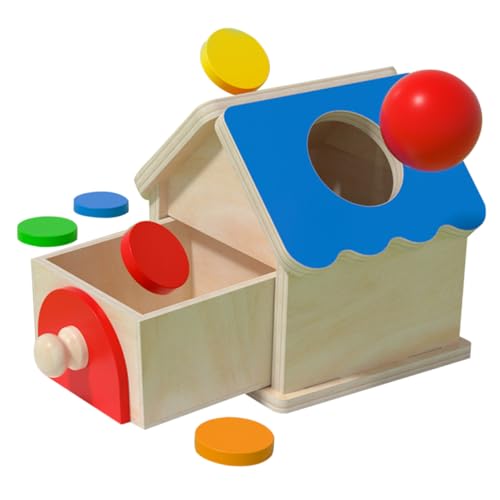 FRCOLOR Montessori Holzspielzeug Münzbox und Kugelspiel für Kleinkinder Motorisches Lernspielzeug zur Feinmotorik und Farberkennung Robust und Leicht Fördert Geduld und Konzentration von FRCOLOR