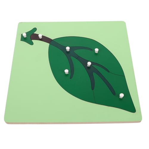 FRCOLOR Montessori Pflanzen Lernbrett für Frühe Bildung Interaktive Montessori Spielzeuge Kognitiven Entwicklung Lernmaterial für Kleinkinder zur Stärkung von Logischem und FRCOLOR Montessori Pflanzen Lernbrett für Frühe Bildung Interaktive Montessori Spielzeuge Kognitiven Entwicklung Lernmaterial für Kleinkinder zur Stärkung von Logischem und von FRCOLOR