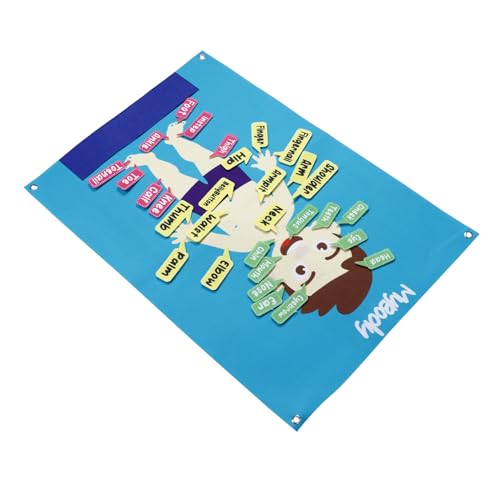 FRCOLOR Multifunktionales Filz lernboard Menschlicher Körper für Vorschulkinder Interaktives Activity Board zur Frühförderung Feinmotorisches Sicheres Storytelling wandspielzeug Kreatives von FRCOLOR