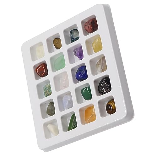 FRCOLOR Naturstein Kristall Sammlung für Lehrmaterial für Mineralien und Edelsteine Lernspielzeug für Jungen und Mädchen Fördert Kreativität und Entdeckung FRCOLOR Naturstein Kristall Sammlung für Lehrmaterial für Mineralien und Edelsteine Lernspielzeug für Jungen und Mädchen Fördert Kreativität und Entdeckung von FRCOLOR