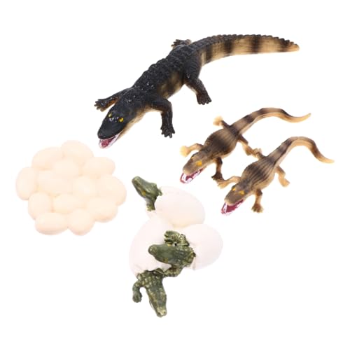 FRCOLOR Organism Model Realistische Meerestiere Figuren Lernspielzeug für Umweltschutz Thema und Lebenszyklus Simulation Pädagogisch als Deko und Geeignet von FRCOLOR