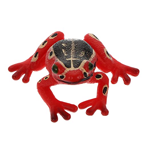 FRCOLOR Pädagogisches Froschmodell aus Realistisches Simulationstier für Lernspielzeug und Naturerfahrungen Baumfrosch Modell von FRCOLOR