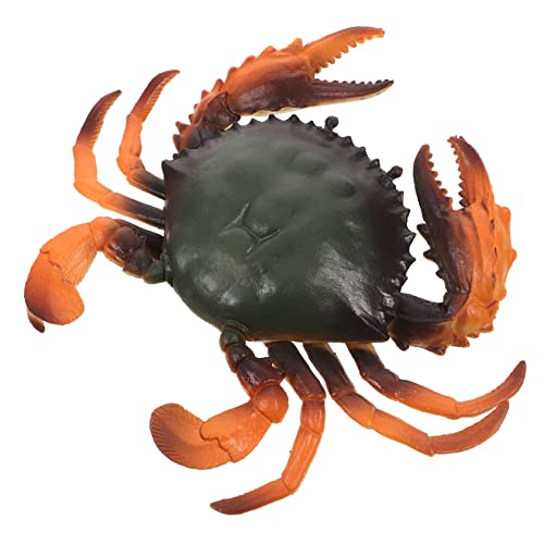 FRCOLOR Pädagogisches Krabbenmodell aus Realistische Simulation mit Leuchtenden Farben Kindgerechtes Lernspielzeug Kreativität und Motorik Teiliges für Kleinkinder von FRCOLOR