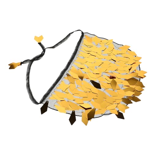 FRCOLOR Paillettenschleier Für Den Bauchtanz Gesicht Requisiten Für Tänzerauftritte Party Sketch Bauchtanz-outfit Tragen Kostüm Für Bauchtanz Tanzschleier Aus Seide Junggesellin Polyester von FRCOLOR