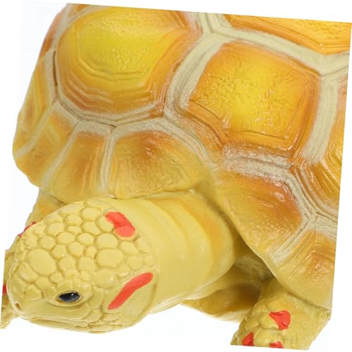 FRCOLOR Plastik Landschildkröten Modell Figur Realistische Vierzehige Landschildkröte Lernspielzeug für Umweltfreundlich Langlebig Pädagogisch Geeignet von FRCOLOR