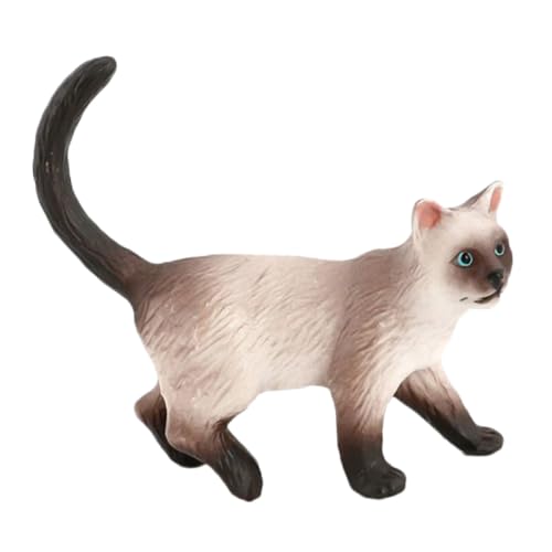 FRCOLOR Plastik Siamese Cat Modell Lebensechtes Bildungsspielzeug für Robuste und Duftfreie Dekoration als Hausaccessoire oder Lernhilfe von FRCOLOR