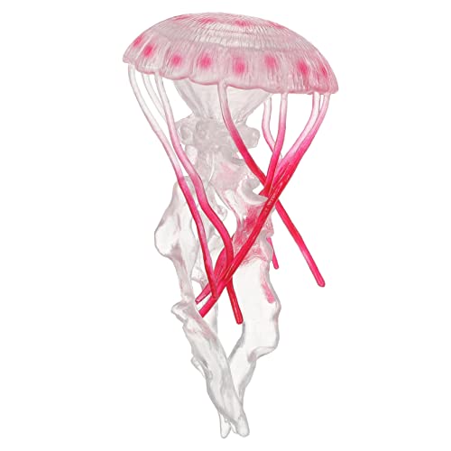 FRCOLOR Quallenmodell aus Robustem Material Realistische Schwimmende Quallenfigur für Frühe Bildung und Aquariumdekoration Pädagogisches Kinderspielzeug für Jungen und Mädchen FRCOLOR Quallenmodell aus Robustem Material Realistische Schwimmende Quallenfigur für Frühe Bildung und Aquariumdekoration Pädagogisches Kinderspielzeug für Jungen und Mädchen von FRCOLOR