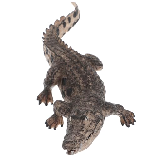 FRCOLOR Realistische Alligator Figur mit Beweglichem für Jungen und Mädchen Pädagogisches Kognitiven Fähigkeiten und Interaktivem Spiel für Sammler und Lernzwecke FRCOLOR Realistische Alligator Figur mit Beweglichem für Jungen und Mädchen Pädagogisches Kognitiven Fähigkeiten und Interaktivem Spiel für Sammler und Lernzwecke von FRCOLOR