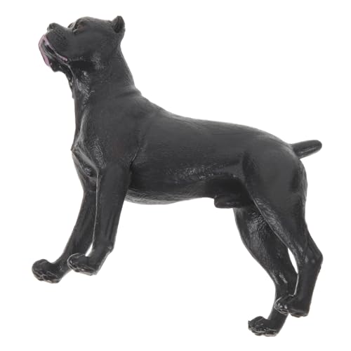 FRCOLOR Realistische Cardoso Hundefigur aus Sicherem Kunststoff Detailgetreues Kleines Hundeornament für Garten Desktop Dekoration und Pädagogisches Lebensecht Gestaltete Tierfigur für FRCOLOR Realistische Cardoso Hundefigur aus Sicherem Kunststoff Detailgetreues Kleines Hundeornament für Garten Desktop Dekoration und Pädagogisches Lebensecht Gestaltete Tierfigur für von FRCOLOR