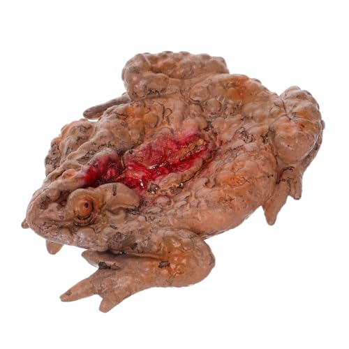 FRCOLOR Realistische Horror Frosch Streich Requisite Gruselige Essensbox für Halloween Deko Simulation für Spukhaus und Halloween Party Zufällige von FRCOLOR