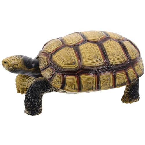 FRCOLOR Schildkröten Kognitives Spielzeug Modell aus Kunststoff Realistische Landschildkröte Figur für Kinder Lehrmittel zur Tiererziehung Dekoration für Kinderzimmer FRCOLOR Schildkröten Kognitives Spielzeug Modell aus Kunststoff Realistische Landschildkröte Figur für Kinder Lehrmittel zur Tiererziehung Dekoration für Kinderzimmer von FRCOLOR