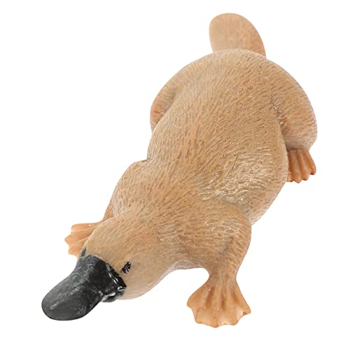 FRCOLOR Realistisches Enten Schnabeltier Modell Figur Lernspielzeug und Deko für Garten Balkon und Klassenzimmer Pädagogisches Wildtier Ornament zur Kognitiven von FRCOLOR