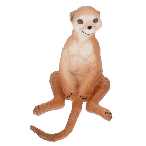 FRCOLOR Realistisches Erdmännchen Modell aus Robustem Kunststoff Detailgetreue Simulation Tierfigur für Kinderzimmer Garten und Wohnraumdeko Langlebiges Pädagogisches Wildtier von FRCOLOR