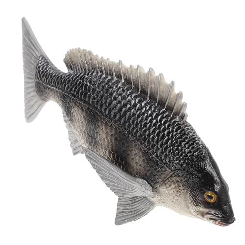 FRCOLOR Realistisches Fischmodell Solide Tierfigur aus Kunststoff Pädagogisches Lernspielzeug Kognitive Meereswelt Dekoration für Jungen Mädchen FRCOLOR Realistisches Fischmodell Solide Tierfigur aus Kunststoff Pädagogisches Lernspielzeug Kognitive Meereswelt Dekoration für Jungen Mädchen von FRCOLOR