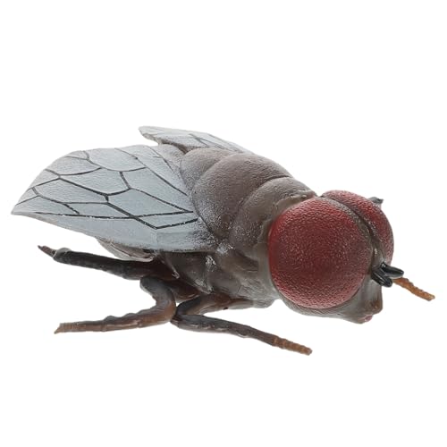 FRCOLOR Realistisches Fliegenmodell Insektensimulation Pädagogisch Für Lernspielzeug Und Halloween Dekoration Für Streiche Und Partyspaß von FRCOLOR