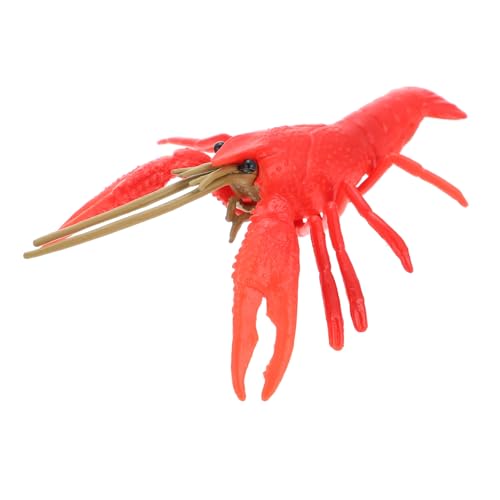 FRCOLOR Realistisches Handliches Krebsmodell als Detailreiche Desktop deko und Pädagogisches für Lebensechte Nachbildung Kleiner Hummer in Rot für Zimmer und Lernzwecke von FRCOLOR