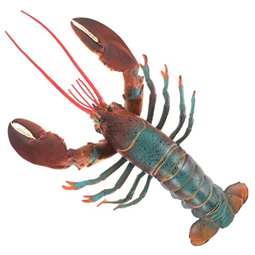 FRCOLOR Realistisches Hummer Modell Detailgetreue Künstliche Hummer Figur Vielseitige Dekoration für Schreibtisch und Spiel Pädagogisches Requisit Realistische Meeresnachbildung von FRCOLOR