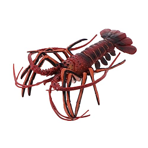 FRCOLOR Realistisches Hummer Modell Kreatur Figur Dekoration Lebensecht Langlebig Für Strand und Aquarium Deko Geeignet Lernspielzeug von FRCOLOR