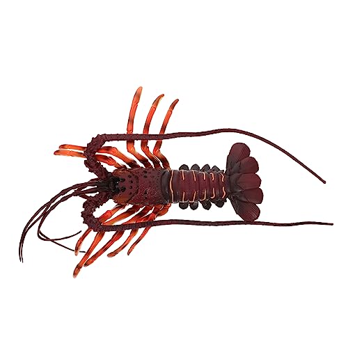 FRCOLOR Realistisches Hummer Modell aus Kunststoff Dekoratives Meereslebewesen für Pädagogisches Tierfiguren Lernspielzeug Naturgetreue Oberfläche Handliches Design FRCOLOR Realistisches Hummer Modell aus Kunststoff Dekoratives Meereslebewesen für Pädagogisches Tierfiguren Lernspielzeug Naturgetreue Oberfläche Handliches Design von FRCOLOR