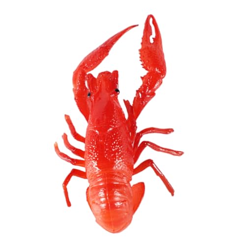 FRCOLOR Realistisches Hummer Modell aus Stabilem PVC Detailgetreue Nachbildung Pädagogisches Meerestiere Dekofigur für Garten und Tischdeko Lebensechte Langusten Attrappe von FRCOLOR