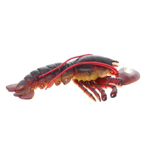 FRCOLOR Realistisches Hummer Modell für Solide Simulation Meeresbewohner Figur Pädagogisches Tiermodell als Dekoration und Lernspielzeug von FRCOLOR