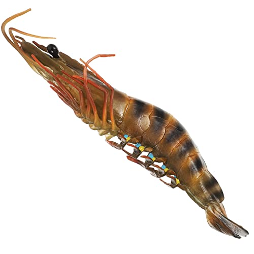 FRCOLOR Realistisches Kinderlernspielzeug Shrimp Modell aus Hochwertigem Kunststoff Langlebig und Fein Gearbeitet als Haushaltszubehör Frühes und Partyspielzeug FRCOLOR Realistisches Kinderlernspielzeug Shrimp Modell aus Hochwertigem Kunststoff Langlebig und Fein Gearbeitet als Haushaltszubehör Frühes und Partyspielzeug von FRCOLOR