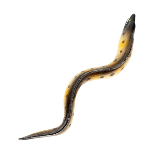FRCOLOR Realistisches Kleines Meeresaal Modell Figur Lernspielzeug Naturgetreues Dekor Tischdeko Aquarium Zubehör von FRCOLOR