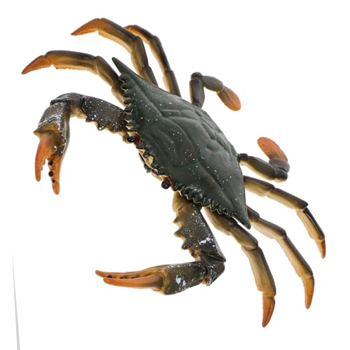 FRCOLOR Realistisches Krabbenmodell Lebendige Kunststofffigur Pädagogisches Tiermodell Robustes Lernspielzeug für Kreative Fantasie und Kognitive Entwicklung FRCOLOR Realistisches Krabbenmodell Lebendige Kunststofffigur Pädagogisches Tiermodell Robustes Lernspielzeug für Kreative Fantasie und Kognitive Entwicklung von FRCOLOR