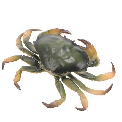 FRCOLOR Realistisches Krabbenmodell Simulation Aquarium Deko Kreatives Lernspielzeug Leicht und Kompakt für Tisch Küche Hotel von FRCOLOR