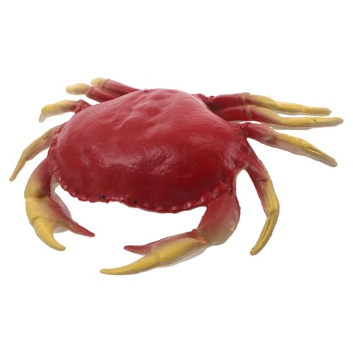 FRCOLOR Realistisches Krabbenmodell aus Kunststoff Detailgetreue Meeresfigur Robust und Leicht für Frühkindliche Bildung Meeresdekoration Tragbares Lernspielzeug für Tischdekoration von FRCOLOR