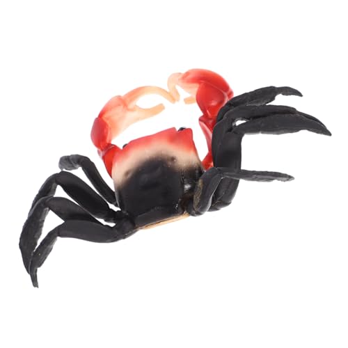FRCOLOR Realistisches Krabbenmodell aus Stabilem Detailgetreue Nachbildung für Aquarium und Tischdeko Leichtes Meeresspielzeug als Pädagogisches Kinderspielzeug und Dekorationsfigur FRCOLOR Realistisches Krabbenmodell aus Stabilem Detailgetreue Nachbildung für Aquarium und Tischdeko Leichtes Meeresspielzeug als Pädagogisches Kinderspielzeug und Dekorationsfigur von FRCOLOR