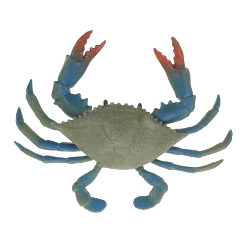 FRCOLOR Realistisches Krabbenmodell aus Stabilem Pädagogisches Simulationsspielzeug Detailgetreue Dekoration für Aquarium und Spiel Langlebiges Meeresbewohner Ornament von FRCOLOR