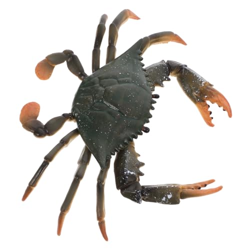 FRCOLOR Realistisches Krabbenmodell für Detailreiches Meeresbewohner Tierfigur Kognitives Lernspielzeug Vielseitiges Dekorationsobjekt Geeignet für Jungen und Mädchen FRCOLOR Realistisches Krabbenmodell für Detailreiches Meeresbewohner Tierfigur Kognitives Lernspielzeug Vielseitiges Dekorationsobjekt Geeignet für Jungen und Mädchen von FRCOLOR
