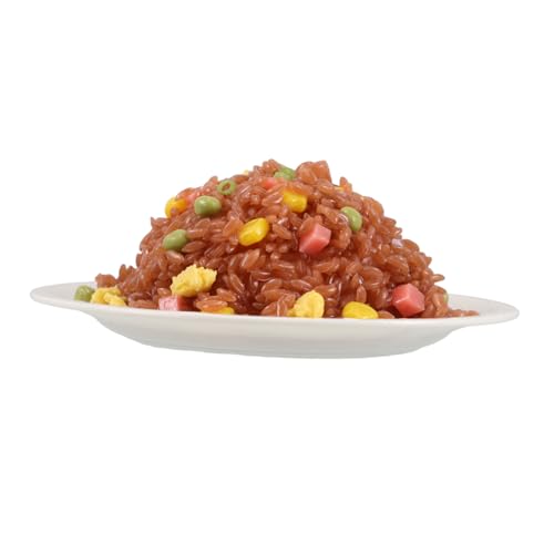 FRCOLOR Realistisches Künstliches Ei Gebratenes Reis Modell Realitätsnahe Lebensmitteldekoration Küchen Fake Food Prop für Fotografie und Küchendekor von FRCOLOR