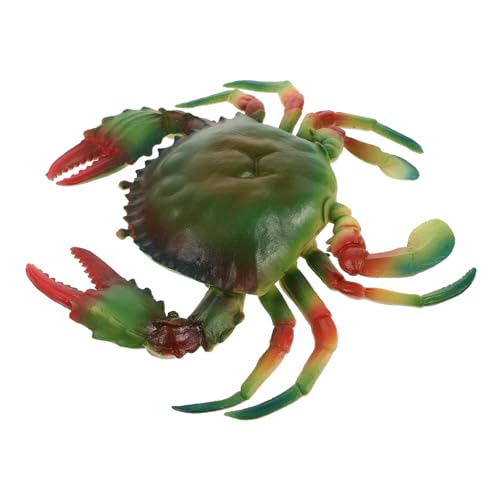 FRCOLOR Realistisches Künstliches Krabbenmodell Kinderspielzeug Ab Jahren Pädagogische Meeres Tier Simulation Sicher und Detailreich Fördert Kognitive Fähigkeiten und Kreatives FRCOLOR Realistisches Künstliches Krabbenmodell Kinderspielzeug Ab Jahren Pädagogische Meeres Tier Simulation Sicher und Detailreich Fördert Kognitive Fähigkeiten und Kreatives von FRCOLOR