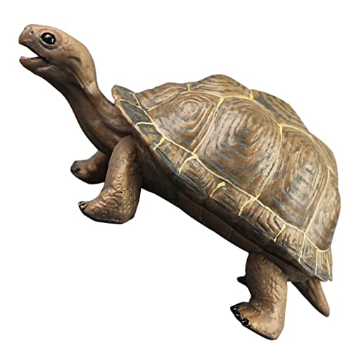FRCOLOR Realistisches Kunststoff Schildkrötenmodell Robustes Kognitives Kinderspielzeug Lebensechte Tierfigur für Garten und Schreibtischdekoration Wetterfest PVC Material Vielseitig FRCOLOR Realistisches Kunststoff Schildkrötenmodell Robustes Kognitives Kinderspielzeug Lebensechte Tierfigur für Garten und Schreibtischdekoration Wetterfest PVC Material Vielseitig von FRCOLOR