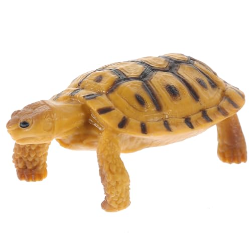 FRCOLOR Realistisches Land Schildkrötenmodell aus Langlebigem Kunststoff Detailgetreue Gartendeko Figur Pädagogisches Tiermodell Vorstellungskraft und Kognition Vielseitig für Innen und von FRCOLOR