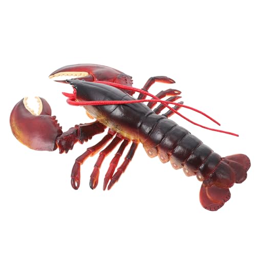 FRCOLOR Realistisches Meeres Tier Modell Hummer Figur Dekorativ Langlebig Wissenschaftlich Pädagogisch Für Kinderzimmer Büro und Laden Deko FRCOLOR Realistisches Meeres Tier Modell Hummer Figur Dekorativ Langlebig Wissenschaftlich Pädagogisch Für Kinderzimmer Büro und Laden Deko von FRCOLOR