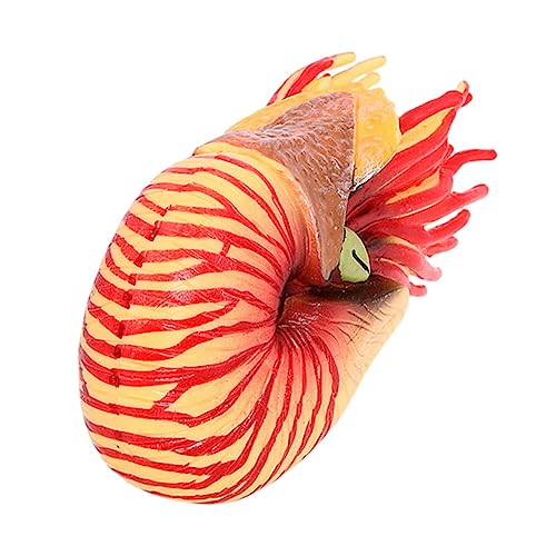 FRCOLOR Realistisches Nautilus Modell aus Hochwertigem Kunststoff Detailgetreue Meeresbewohner Simulation Langlebige Lernspielzeug Dekoration für Aquarium und Schreibtisch FRCOLOR Realistisches Nautilus Modell aus Hochwertigem Kunststoff Detailgetreue Meeresbewohner Simulation Langlebige Lernspielzeug Dekoration für Aquarium und Schreibtisch von FRCOLOR